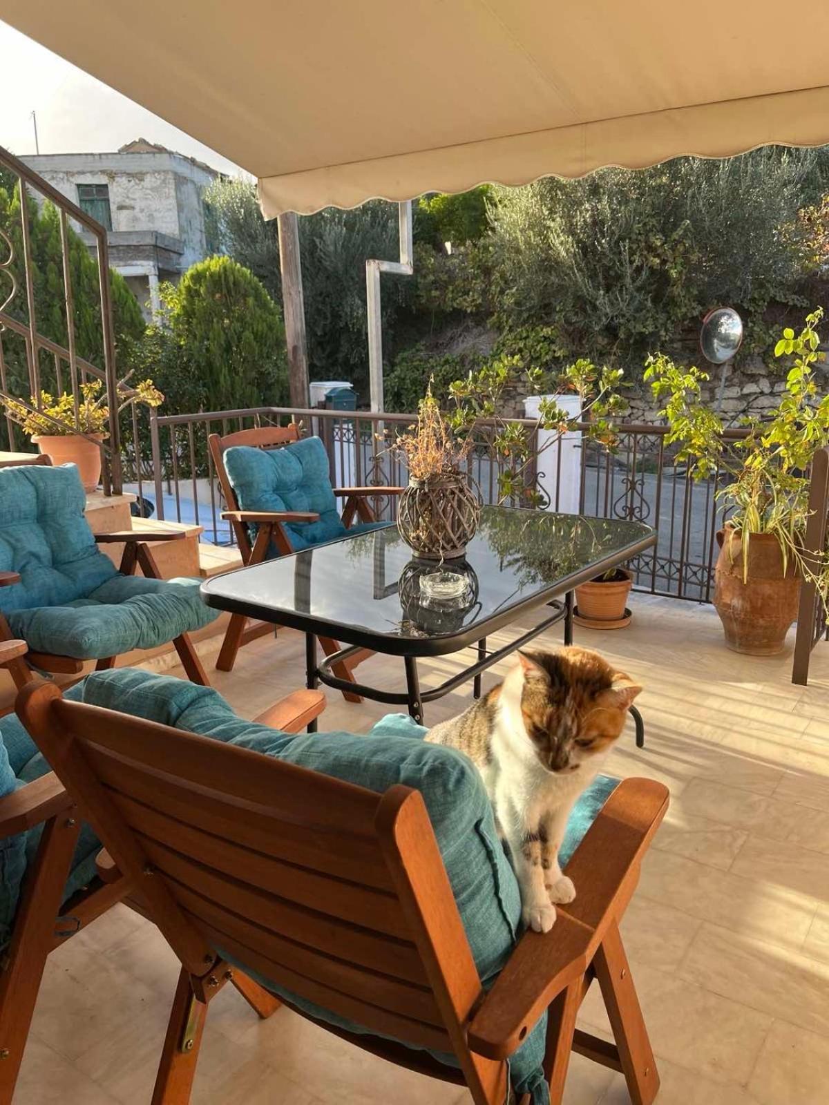 فيلا Achilleas Deluxe Αpartment -Pet Friendly-Parking-Mountain View Kotsianá المظهر الخارجي الصورة